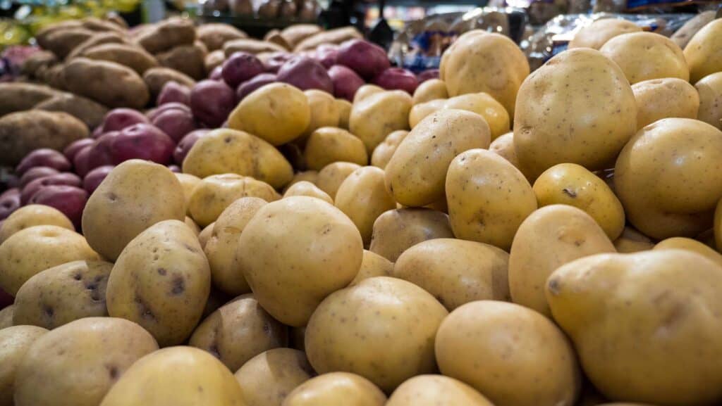 Fresh potatoes