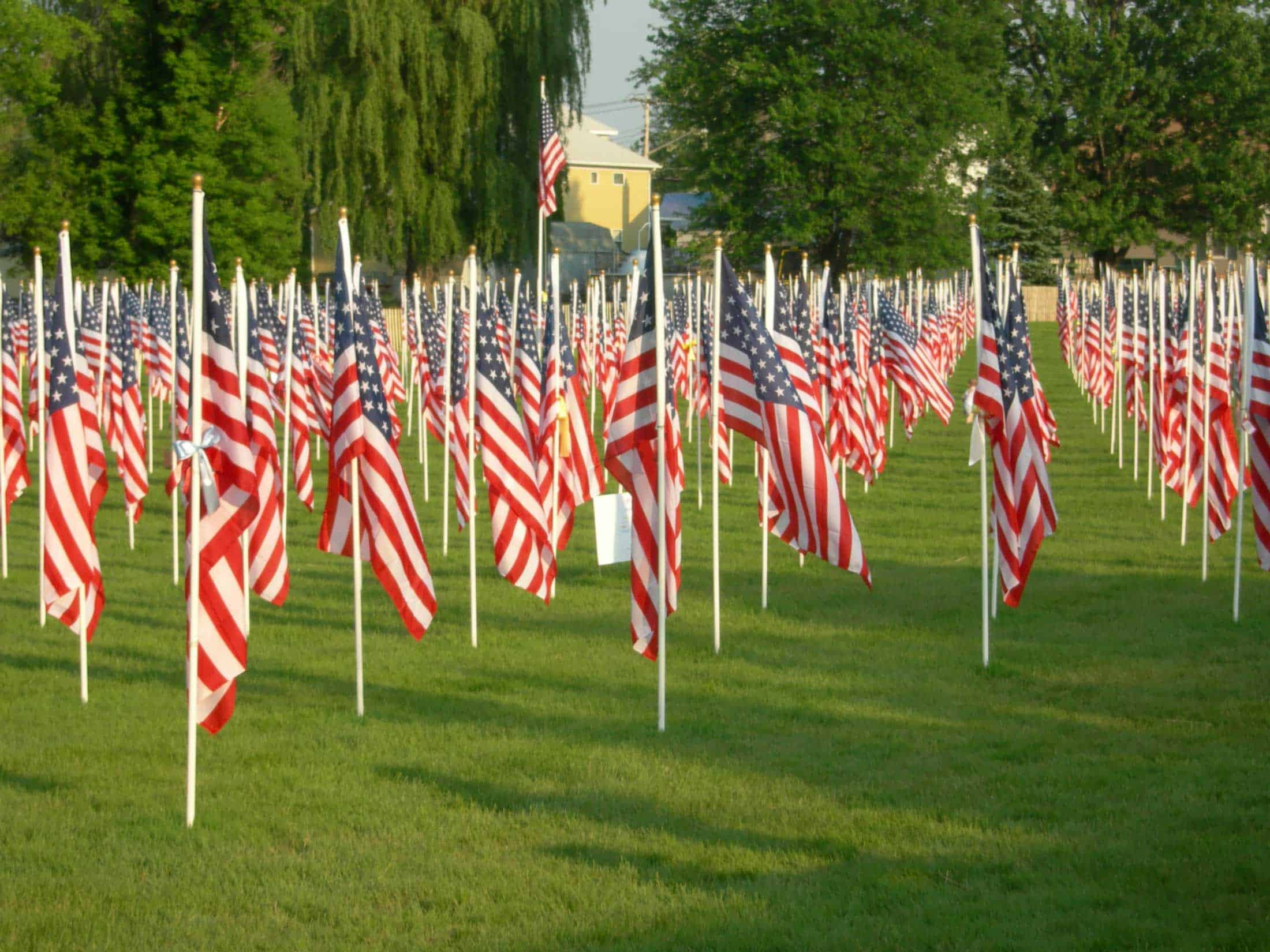 Memorial Day flags in cemetery
