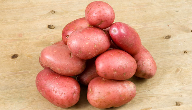 a red skinned variety of potato