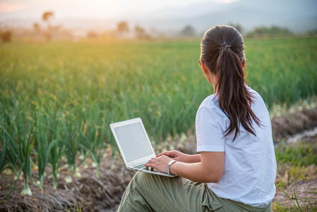 Modern farmer using computer to collect data of white onion farm, smart technology in agriculture. Modern Farming Concept.