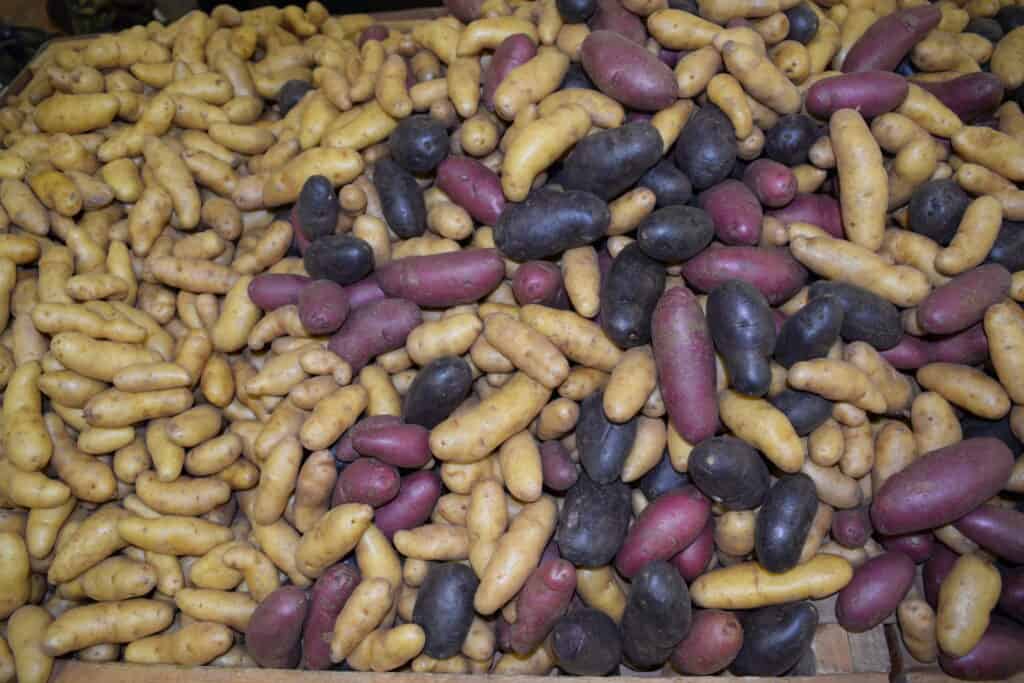 Tips for Purchasing, Storing and Cooking Potatoes
