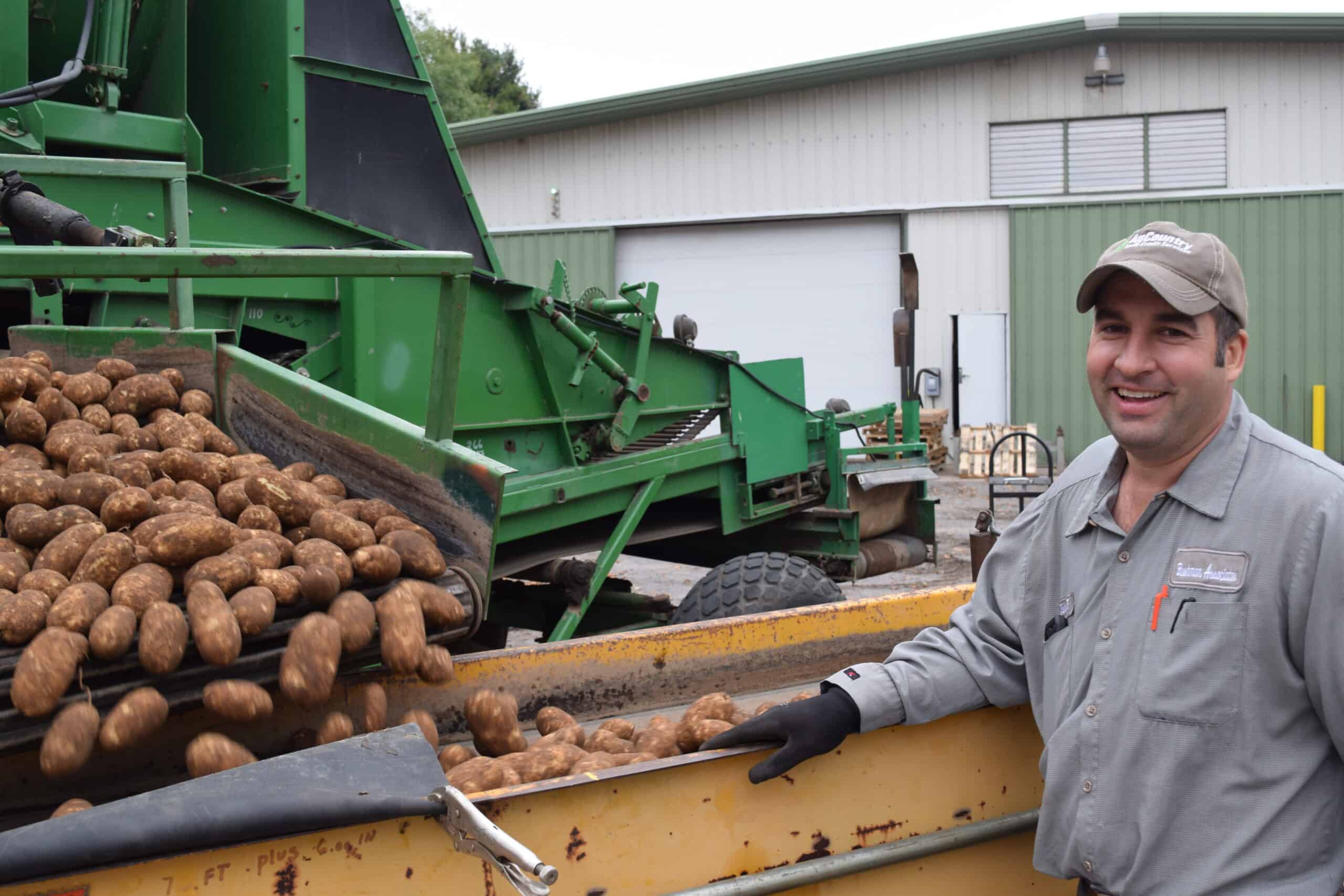 Employee sorting potatoes