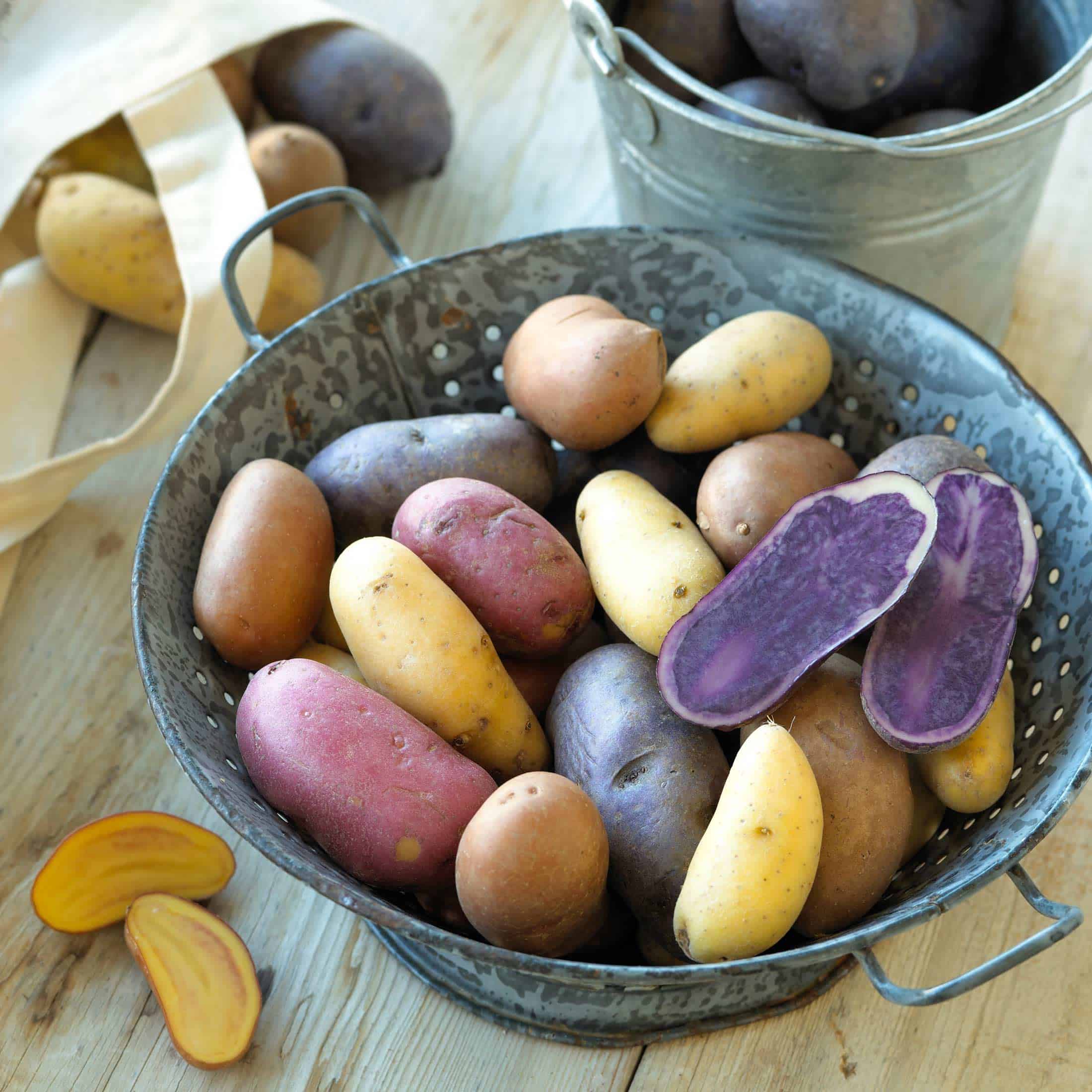 Fingerlings Potatoes