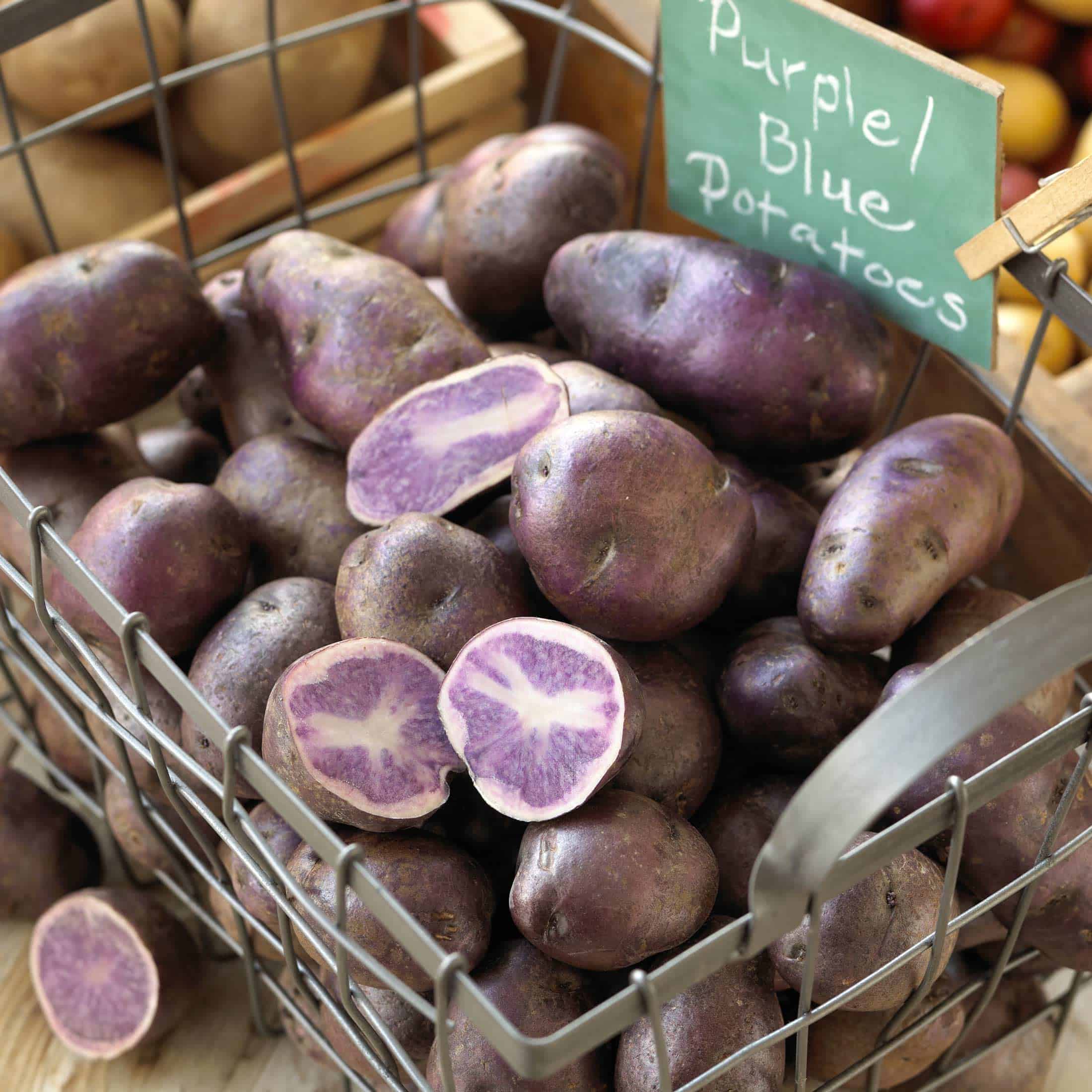 Blue and Purple Potatoes