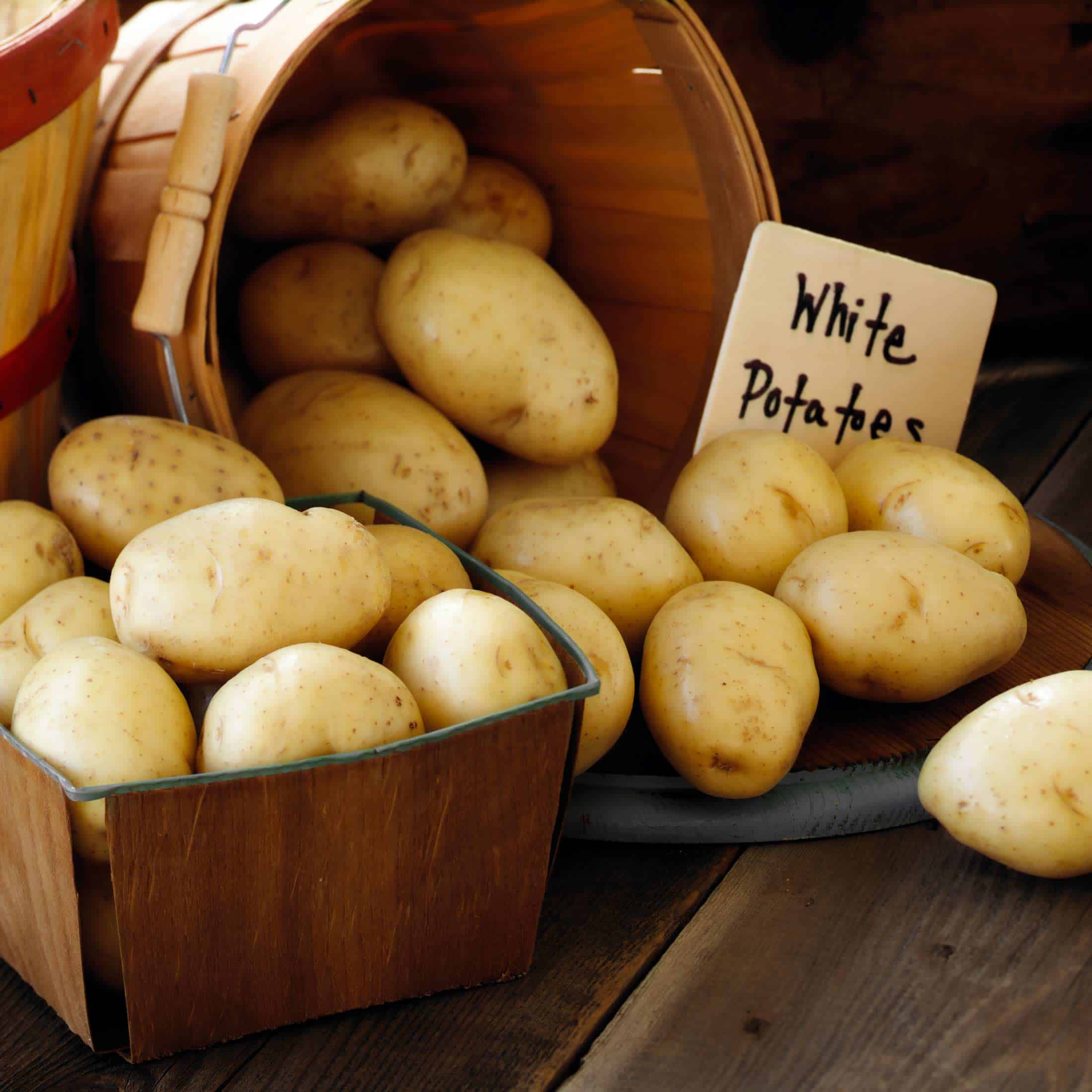 Round White Potatoes