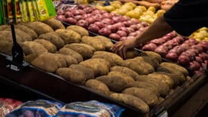 Fresh Bulk Russet Hand Grab Shopper reaching for fresh russet and red potatoes in a grocery store display, examples of two potatoes that fit into kidney health diets.